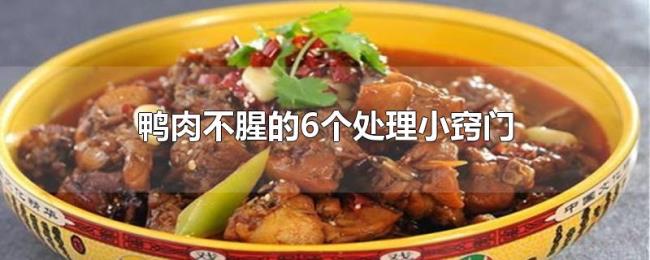 鸭肉不腥的6个处理小窍门 鸭肉不腥的6个处理小窍门