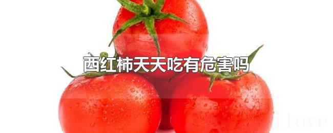 西红柿天天吃有危害吗