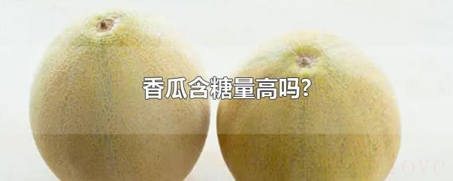 香瓜含糖量高吗? 香瓜含糖量高吗?