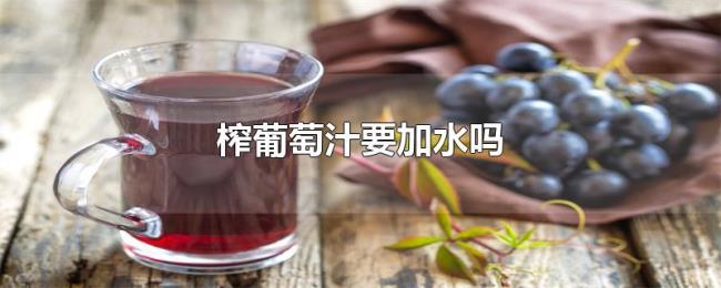 榨葡萄汁要加水吗 榨葡萄汁要加水吗