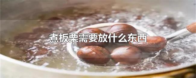 煮板栗需要放什么东西