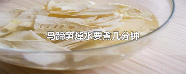 马蹄笋焯水要煮几分钟 马蹄笋焯水要煮几分钟