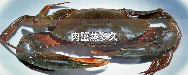 肉蟹蒸多久 肉蟹蒸多久