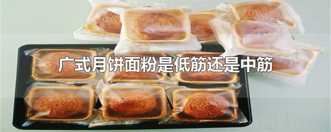 广式月饼面粉是低筋还是中筋