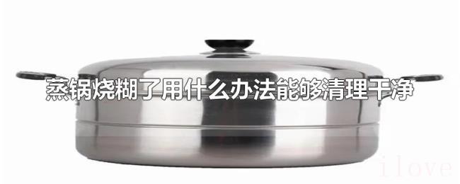 蒸锅烧糊了用什么办法能够清理干净