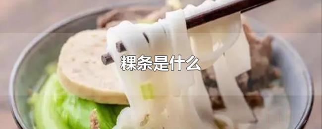 粿条是什么 粿条是什么