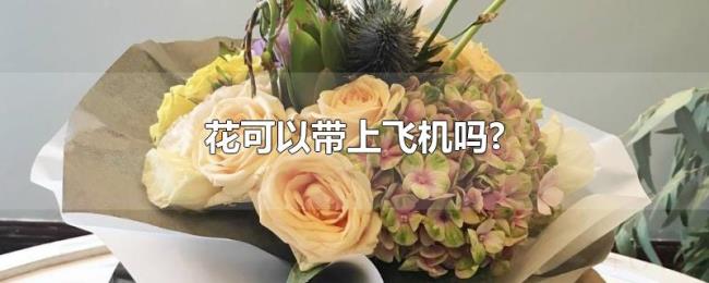 花可以带上飞机吗? 花可以带上飞机吗?