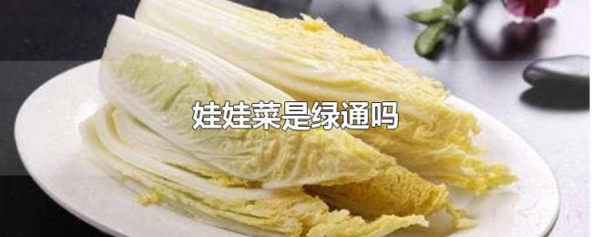 娃娃菜是绿通吗 娃娃菜是绿通吗