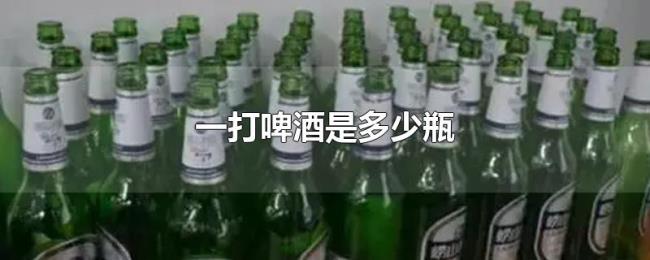 一打啤酒是多少瓶 一打啤酒是多少瓶