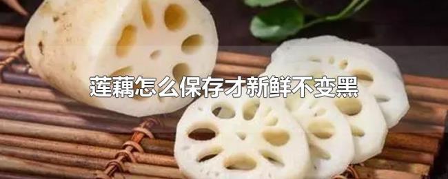 莲藕怎么保存才新鲜不变黑
