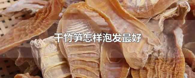 干竹笋怎样泡发最好