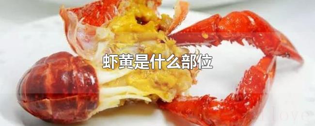 虾黄是什么部位 虾黄是什么部位