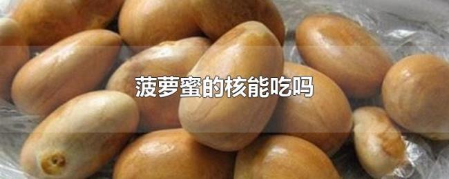 菠萝蜜的核能吃吗