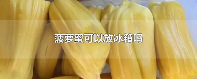 菠萝蜜可以放冰箱吗 菠萝蜜可以放冰箱吗