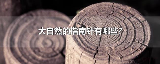 大自然的指南针有哪些?