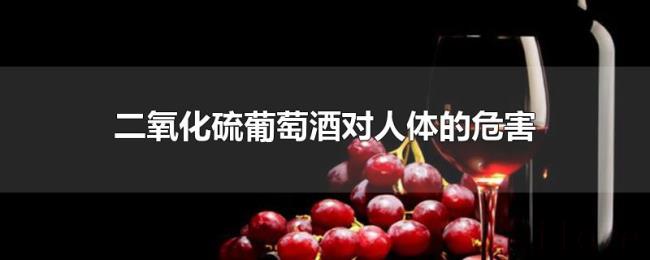 二氧化硫葡萄酒对人体的危害