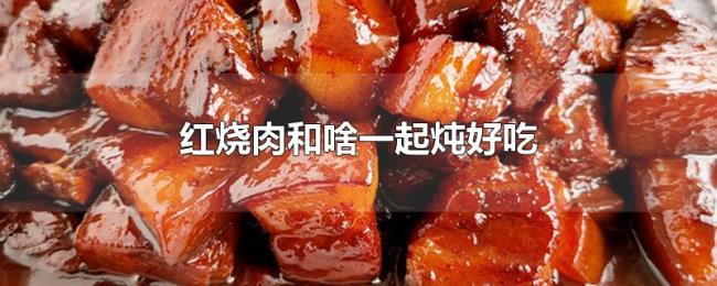 红烧肉和啥一起炖好吃 红烧肉和啥一起炖好吃