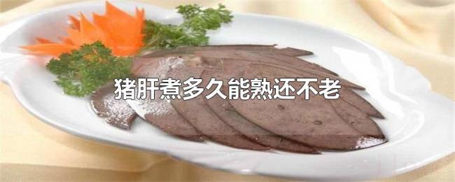 猪肝煮多久能熟还不老