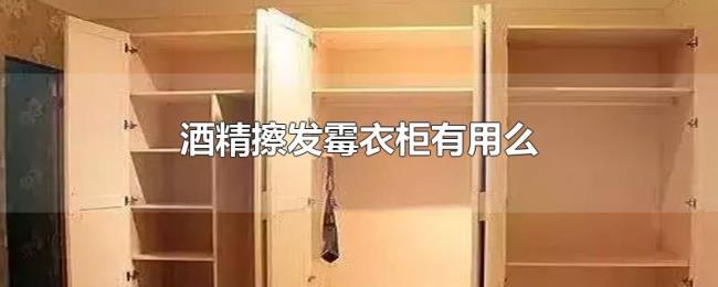 酒精擦发霉衣柜有用么 酒精擦发霉衣柜有用么