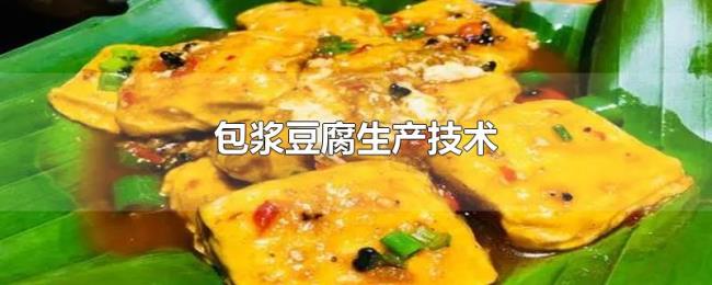 包浆豆腐生产技术