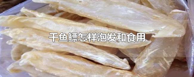 干鱼鳔怎样泡发和食用 干鱼鳔怎样泡发和食用