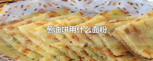 葱油饼用什么面粉 葱油饼用什么面粉