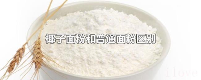 椰子面粉和普通面粉区别 椰子面粉和普通面粉区别
