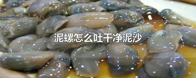 泥螺怎么吐干净泥沙 泥螺怎么吐干净泥沙