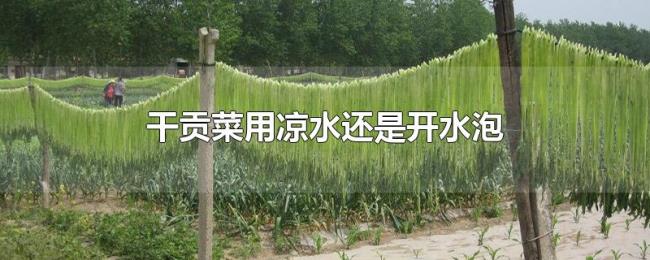 干贡菜用凉水还是开水泡