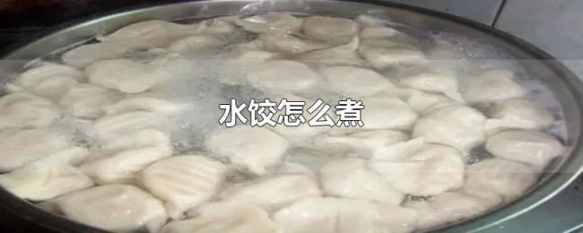 水饺怎么煮 水饺怎么煮