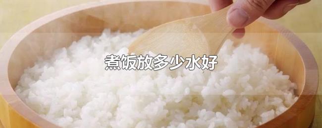 煮饭放多少水好 煮饭放多少水好