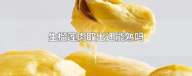 生榴莲肉取出还能熟吗 生榴莲肉取出还能熟吗