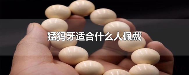 猛犸牙适合什么人佩戴 猛犸牙适合什么人佩戴