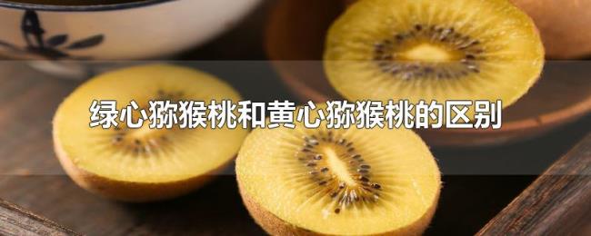 绿心猕猴桃和黄心猕猴桃的区别 绿心猕猴桃和黄心猕猴桃的区别