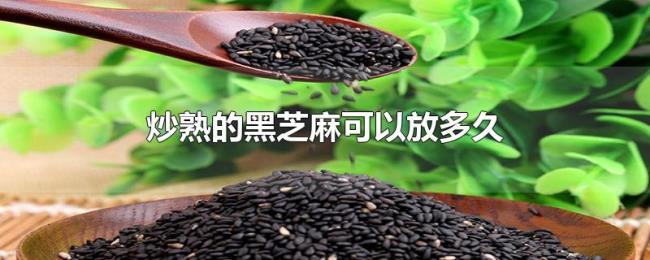炒熟的黑芝麻可以放多久 炒熟的黑芝麻可以放多久