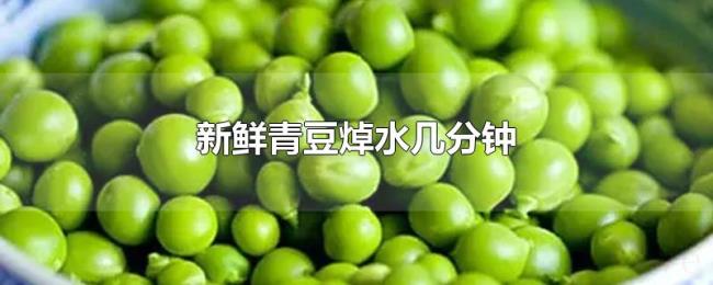 新鲜青豆焯水几分钟