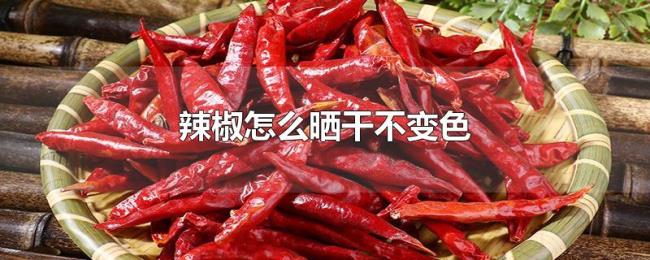 辣椒怎么晒干不变色 辣椒怎么晒干不变色