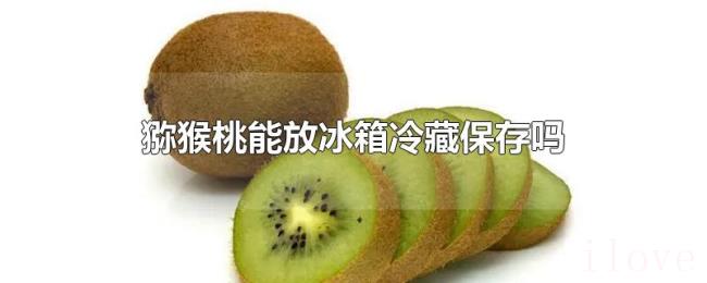 猕猴桃能放冰箱冷藏保存吗 猕猴桃能放冰箱冷藏保存吗