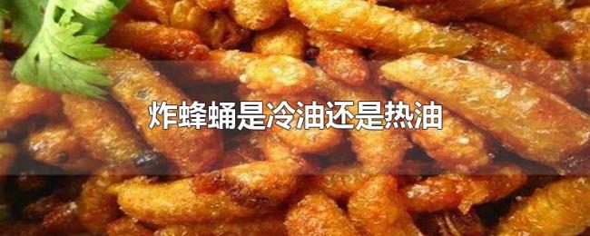 炸蜂蛹是冷油还是热油