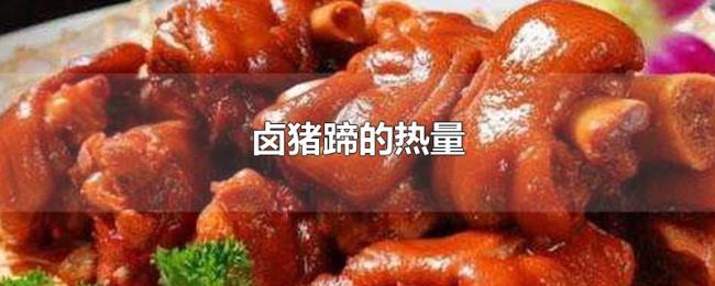 卤猪蹄的热量