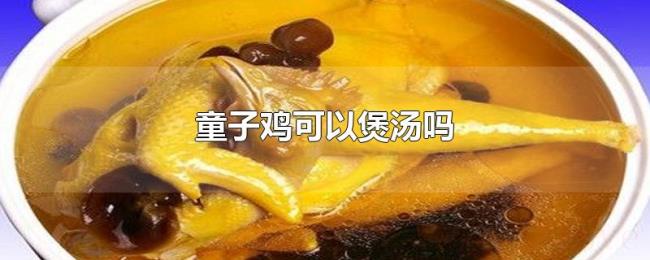 童子鸡可以煲汤吗