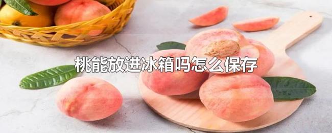桃能放进冰箱吗怎么保存 桃能放进冰箱吗怎么保存
