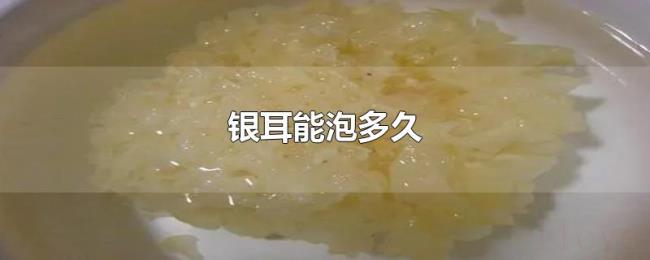 银耳能泡多久