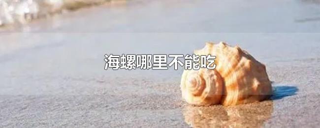 海螺哪里不能吃 海螺哪里不能吃