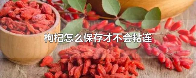 枸杞怎么保存才不会粘连 枸杞怎么保存才不会粘连