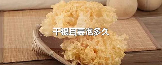 干银耳要泡多久