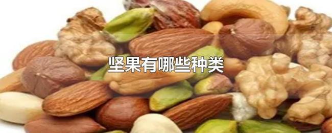 坚果有哪些种类