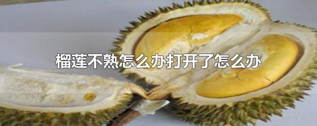 榴莲不熟怎么办打开了怎么办