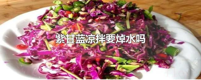 紫甘蓝凉拌要焯水吗