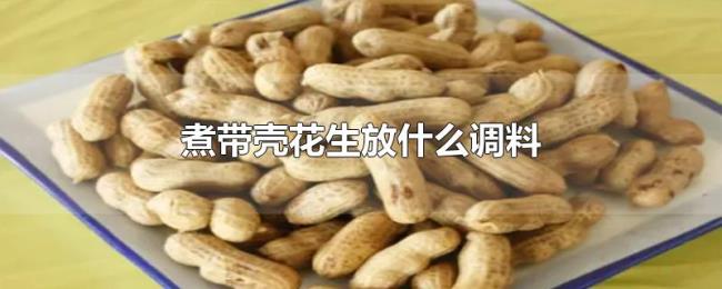 煮带壳花生放什么调料